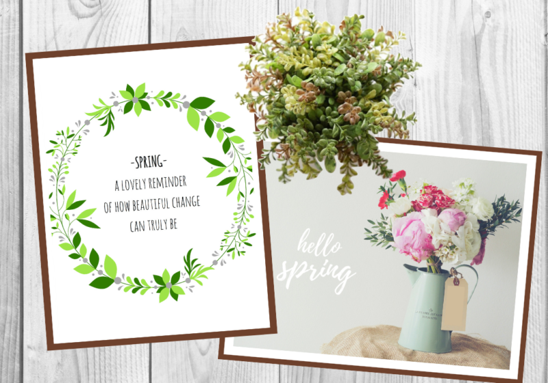 spring has sprung, spring printables, spring printable, spring, spring quotes, free printables, free printable, diy decor, spring decor