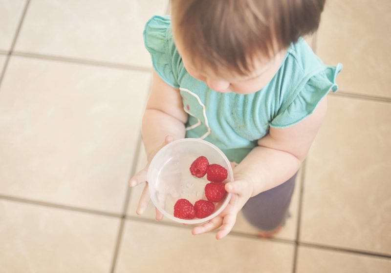 picky eating, picky eaters, encouraging healthy eating, stopping picky eaters, 8 creative secrets to stop picky eating